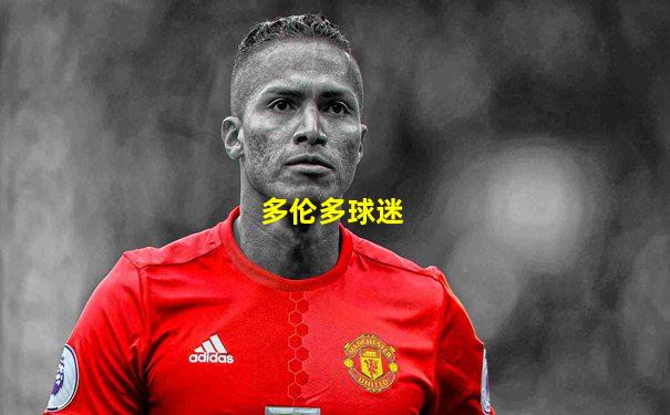 多伦多球迷