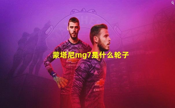 蒙塔尼mg7是什么轮子