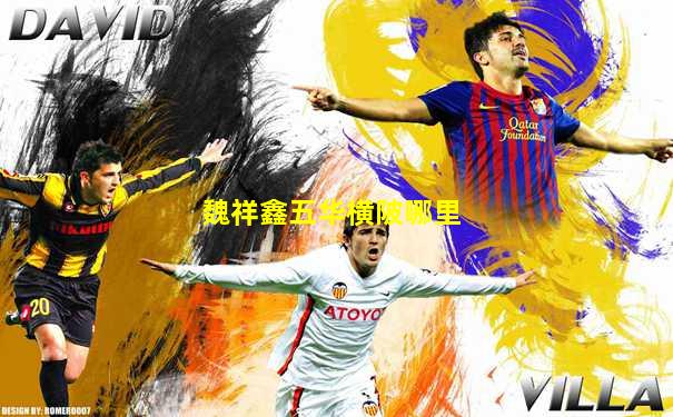 魏祥鑫五华横陂哪里